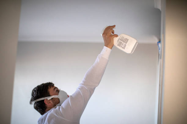 Professional Mold Removal in Rochester, WI
