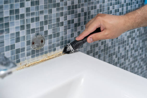 Best Certified Mold Removal  in Rochester, WI